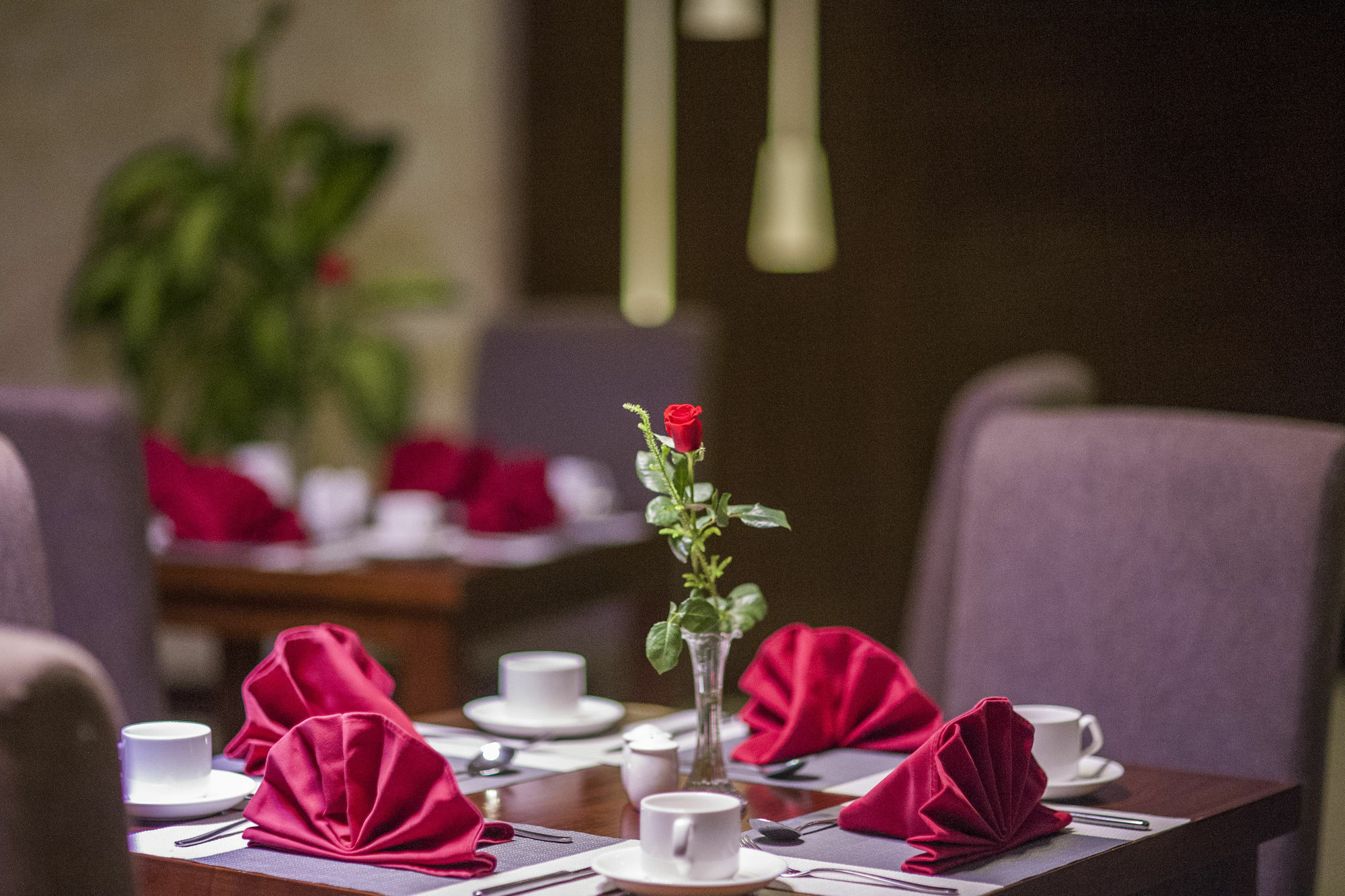 Muong Thanh Grand Quang Tri Hotel Buitenkant foto